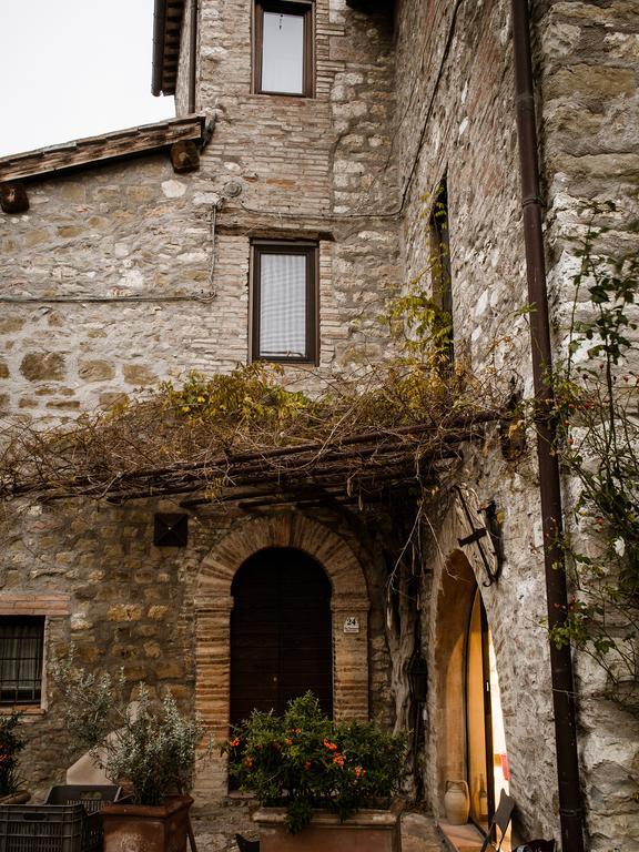 Torre Valbiancara Affittacamere Montebagnolo Esterno foto